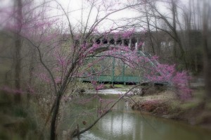 Danville Twin Bridge